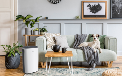 Осушитель воздуха серии CARISMA Loft